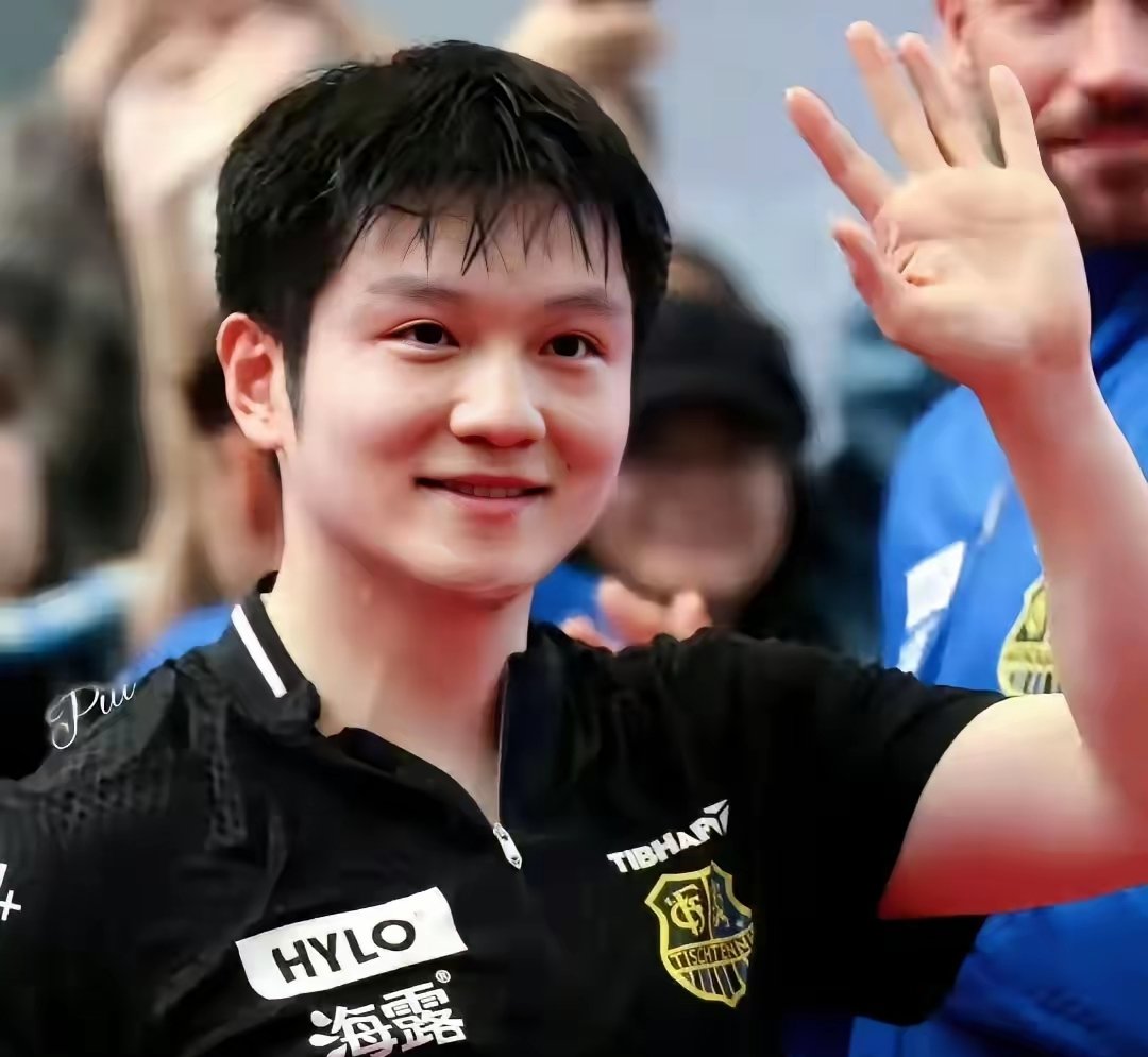 德国队翻盘波兰队,樊振东高光表现 德国队翻盘波兰队,樊振东高光表现