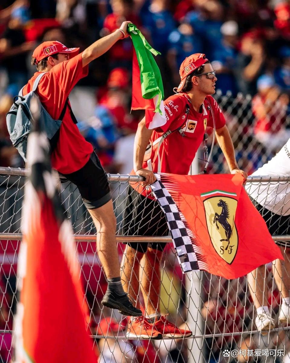 迈凯伦绝杀威廉姆斯,汉密尔顿状态火热 迈凯伦绝杀威廉姆斯,汉密尔顿状态火热