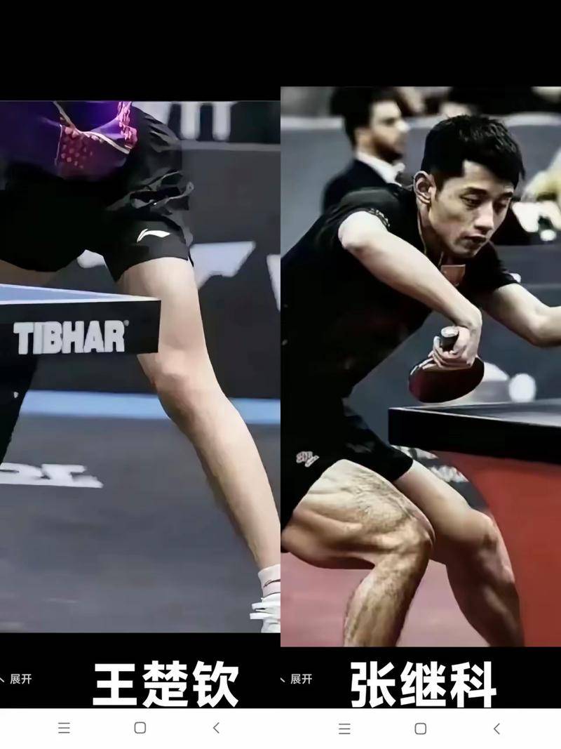 日本乒乓球队翻盘中国乒乓球队,张继科高光表现 日本乒乓球队翻盘中国乒乓球队,张继科高光表现