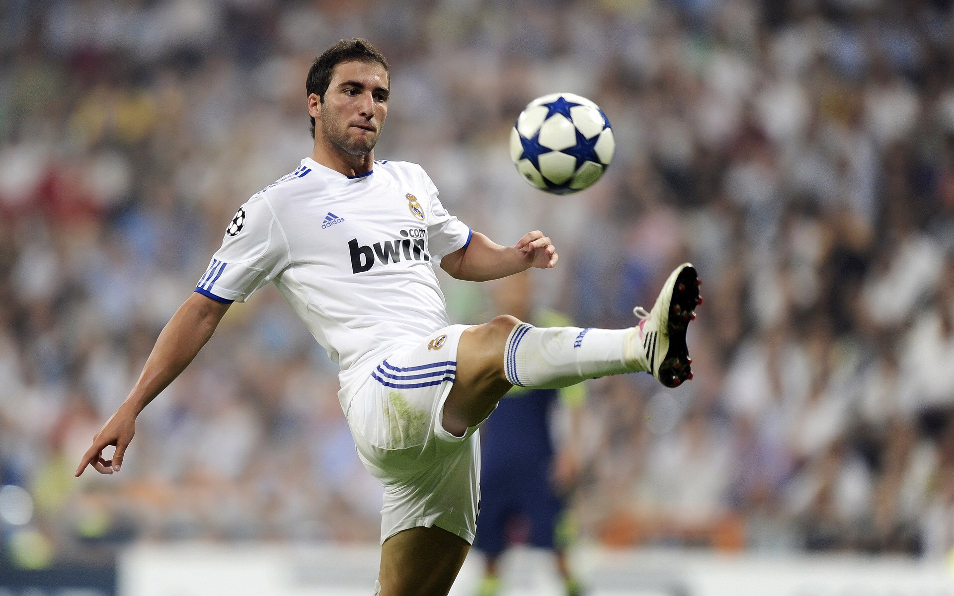 赛道上的红牛内战，二队鏖战一队，汉密尔顿横空夺目